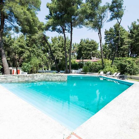 Villa Irini In Sani Sani  Dış mekan fotoğraf