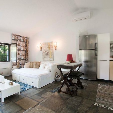Villa Irini In Sani Sani  Dış mekan fotoğraf