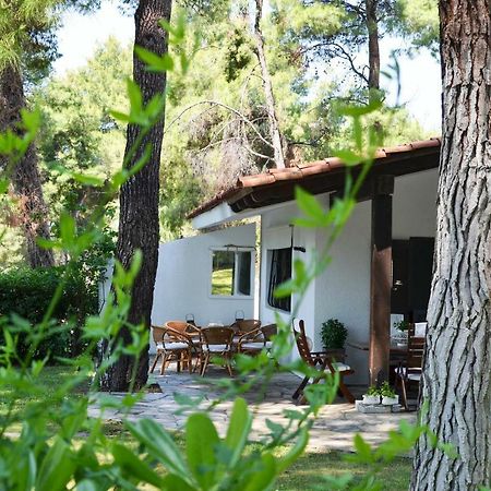 Villa Irini In Sani Sani  Dış mekan fotoğraf