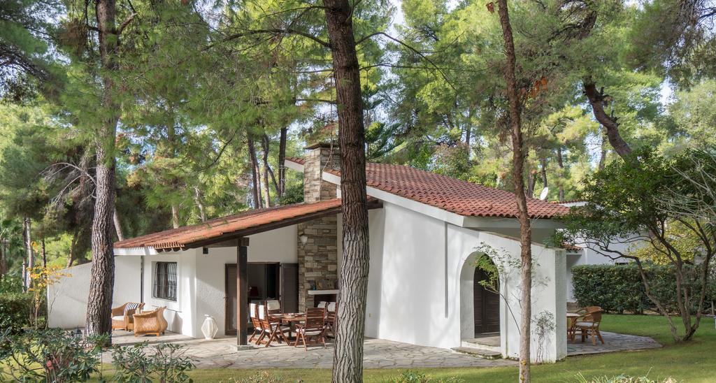 Villa Irini In Sani Sani  Dış mekan fotoğraf