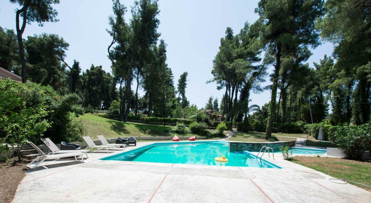 Villa Irini In Sani Sani  Dış mekan fotoğraf