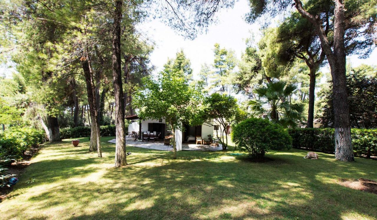 Villa Irini In Sani Sani  Dış mekan fotoğraf