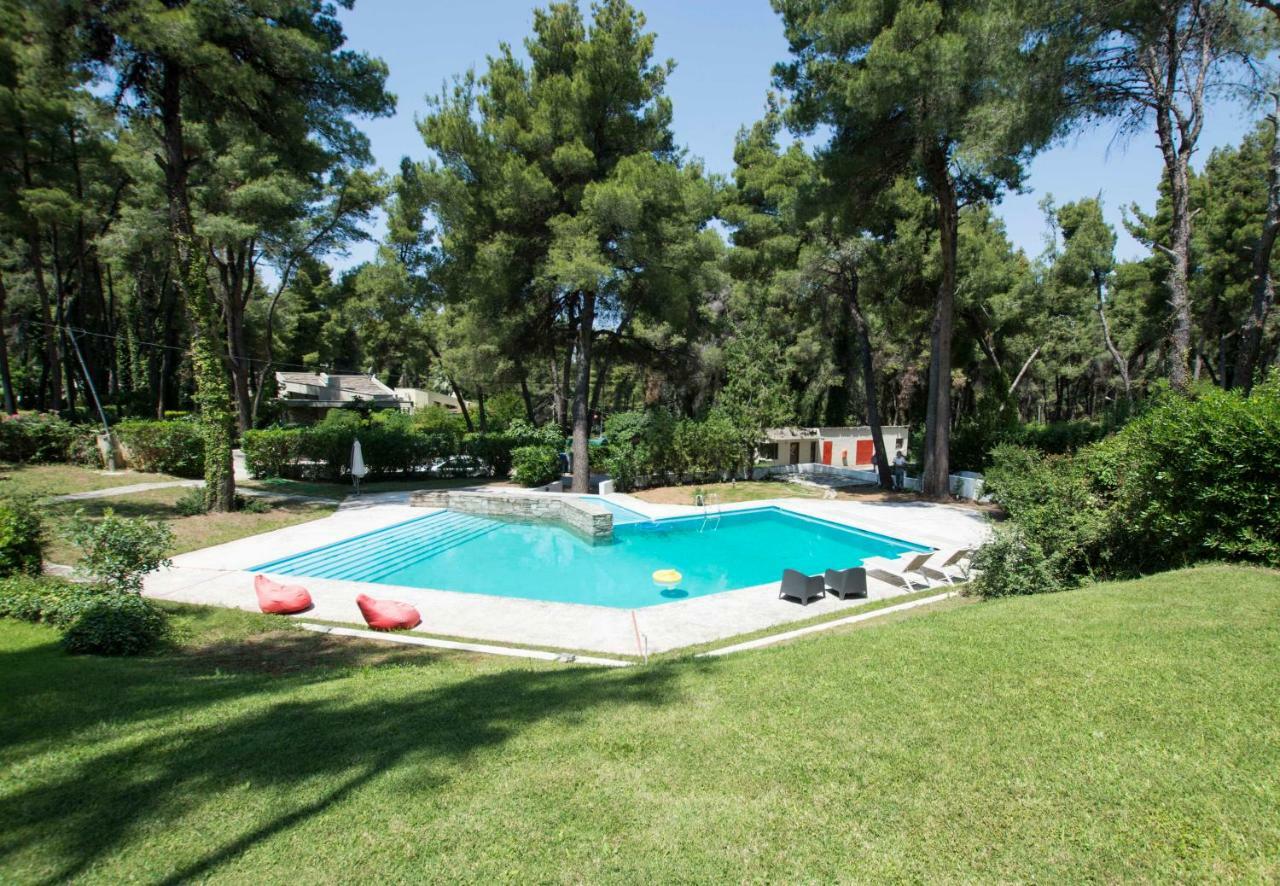 Villa Irini In Sani Sani  Dış mekan fotoğraf