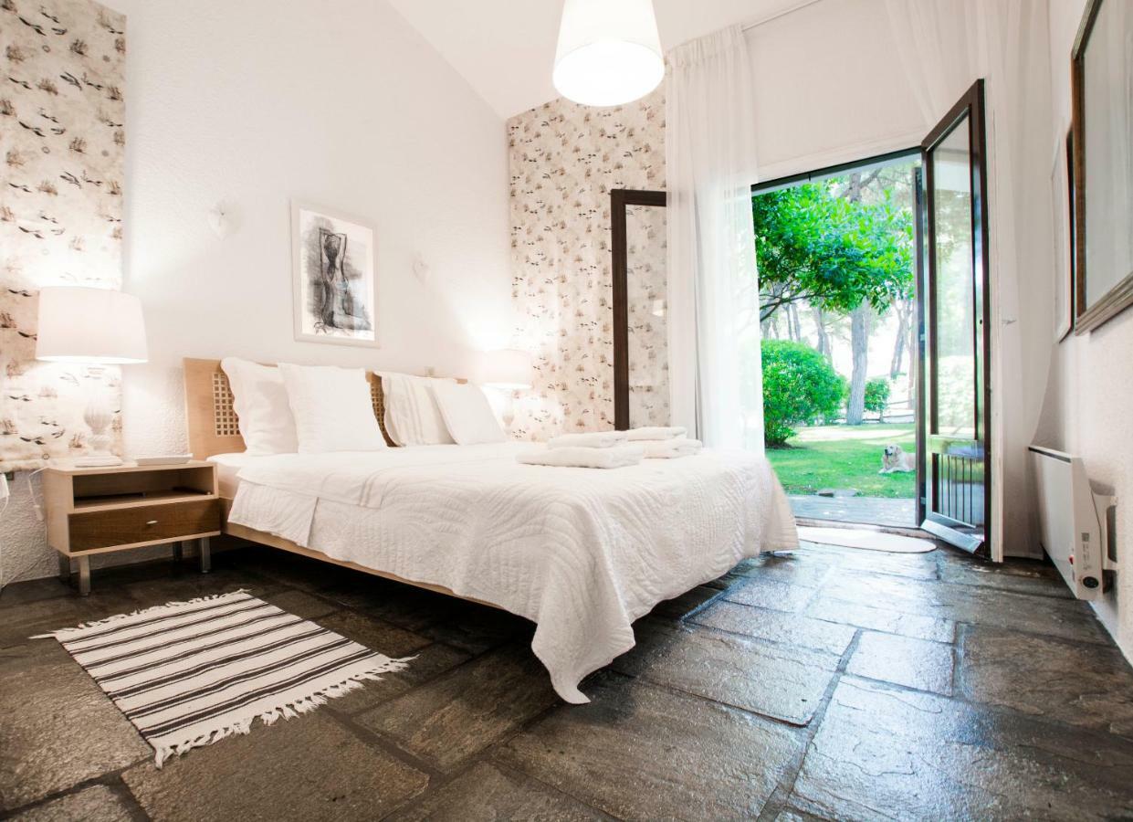 Villa Irini In Sani Sani  Dış mekan fotoğraf