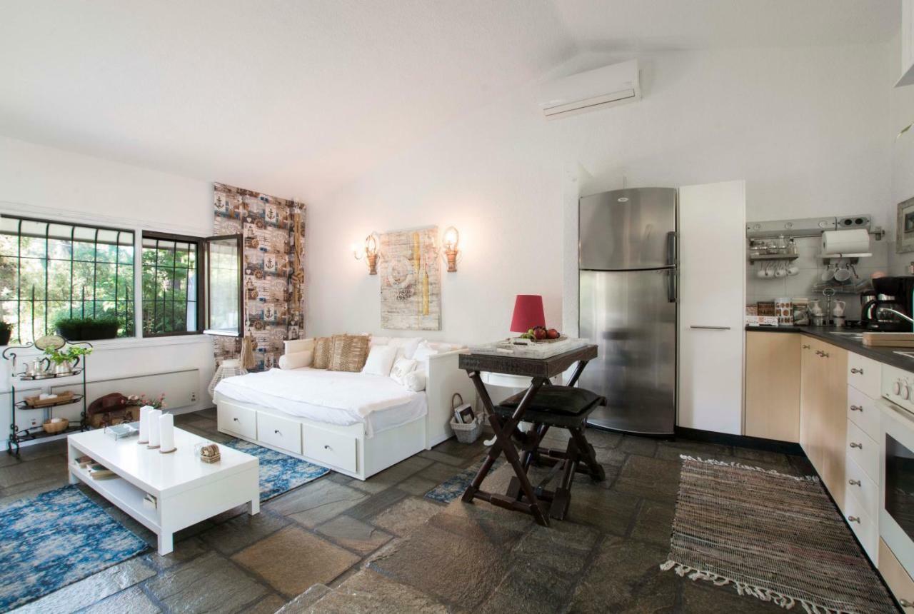 Villa Irini In Sani Sani  Dış mekan fotoğraf