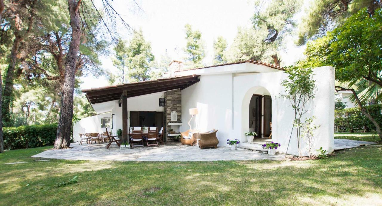 Villa Irini In Sani Sani  Dış mekan fotoğraf