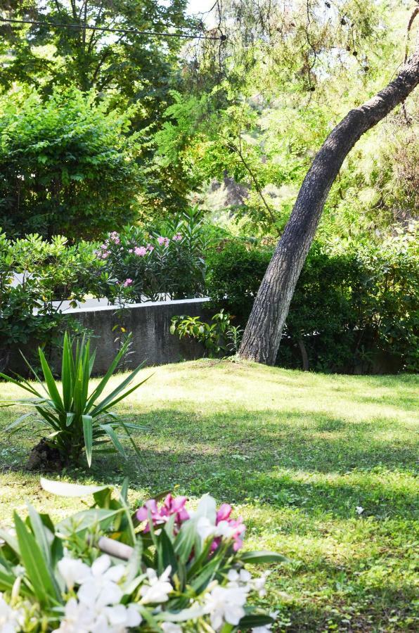 Villa Irini In Sani Sani  Dış mekan fotoğraf