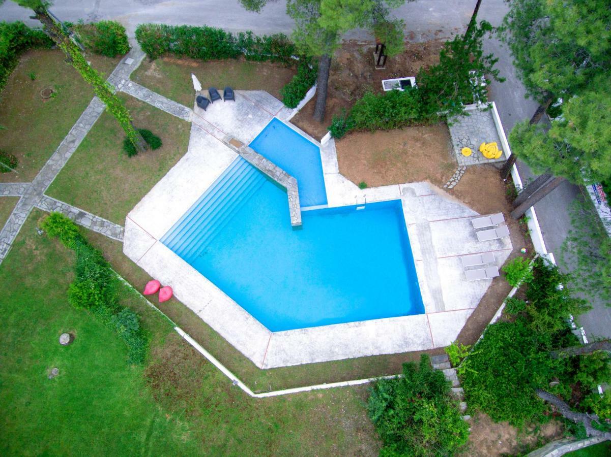 Villa Irini In Sani Sani  Dış mekan fotoğraf